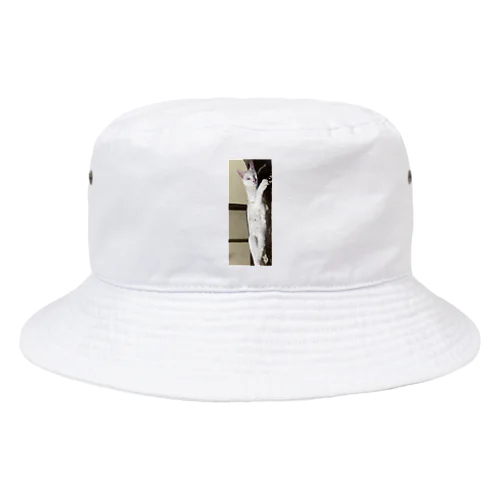 マロ Bucket Hat