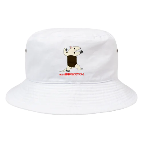 拳法で威嚇するコアリクイ(表面プリント) Bucket Hat