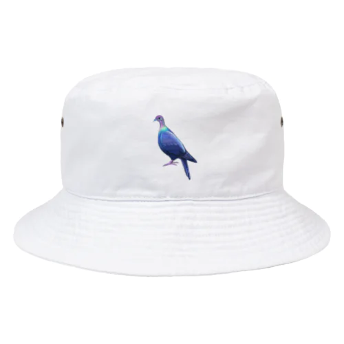 アカガシラカラスバトの絵 Bucket Hat