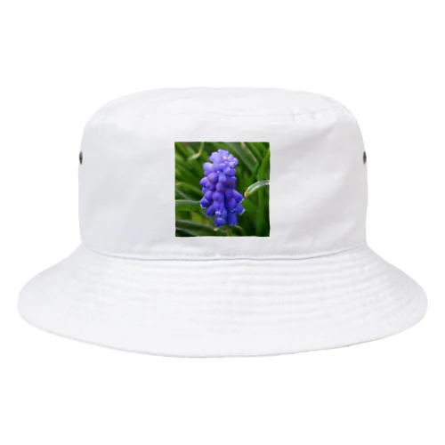 Muscari botryoides(1:1) Bucket Hat