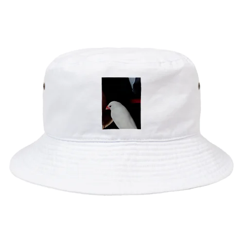 儚げな白文鳥のシロ Bucket Hat