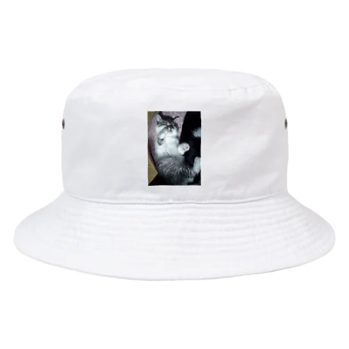 おねむの時間 猫の音羽ちゃん 縦全身バージョン Bucket Hat