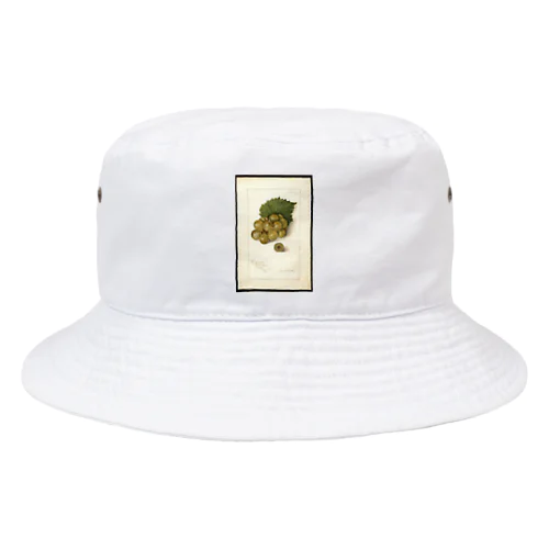 Scuppernong  Bucket Hat