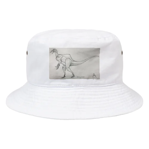 テラトスミルス・ミラビリス Bucket Hat