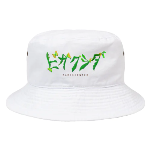 ビカクシダ Bucket Hat