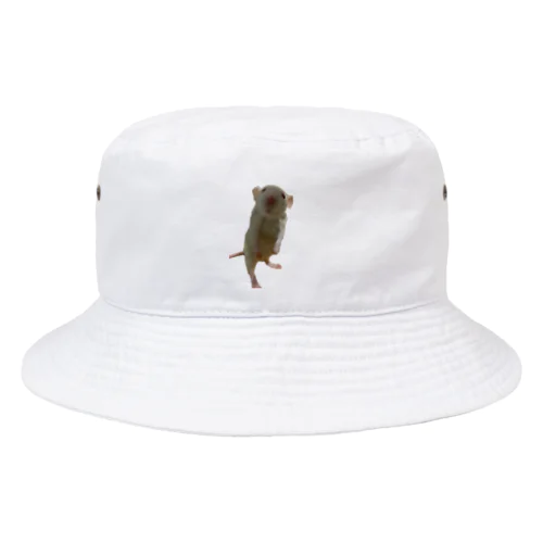 ファイティングねずみハット Bucket Hat