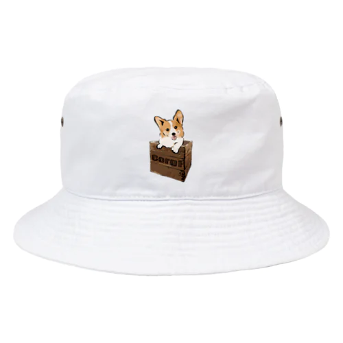 箱入りコーギー Bucket Hat