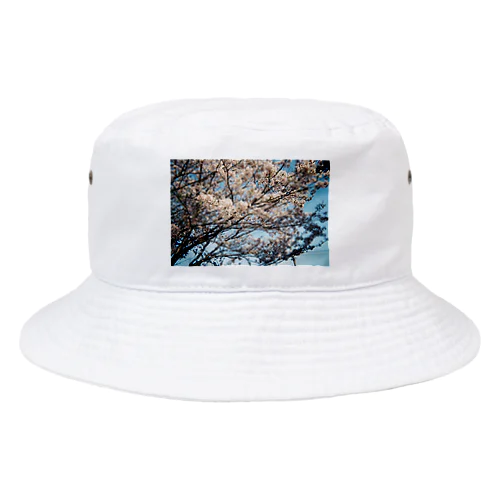 サクラ Bucket Hat