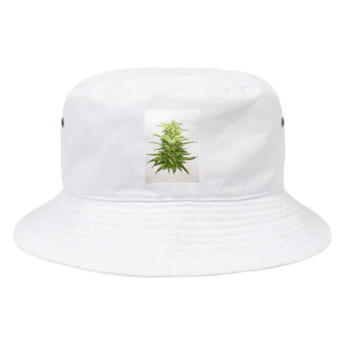 chill time Bucket Hat