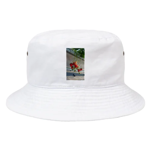 静岡いちごグッズ Bucket Hat