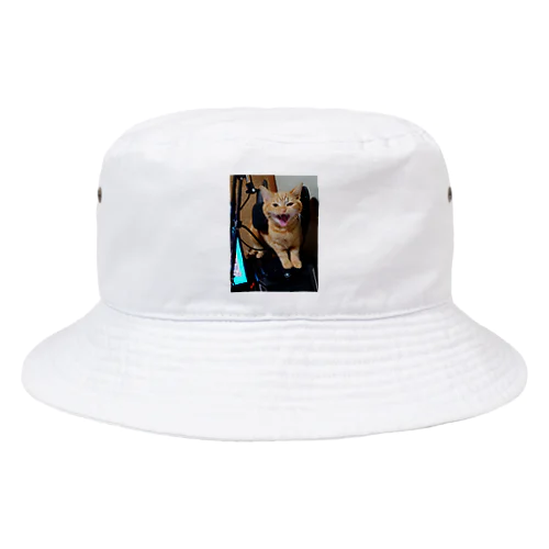 天まで届け、このニャーを！ Bucket Hat