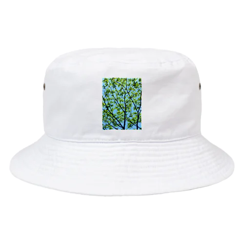 森林浴🌲 Bucket Hat