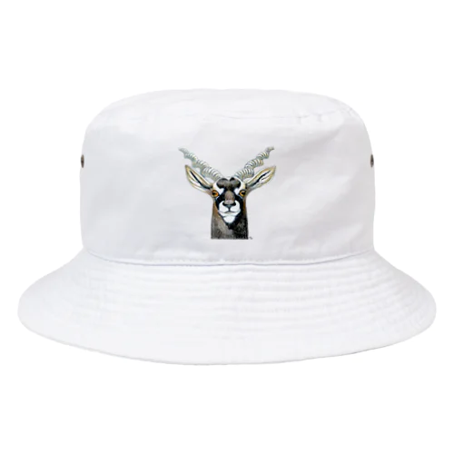 ブラックバック Bucket Hat