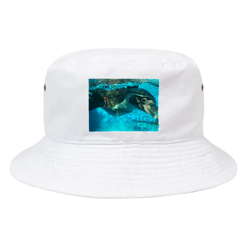 ぺんぎんのリアル Bucket Hat