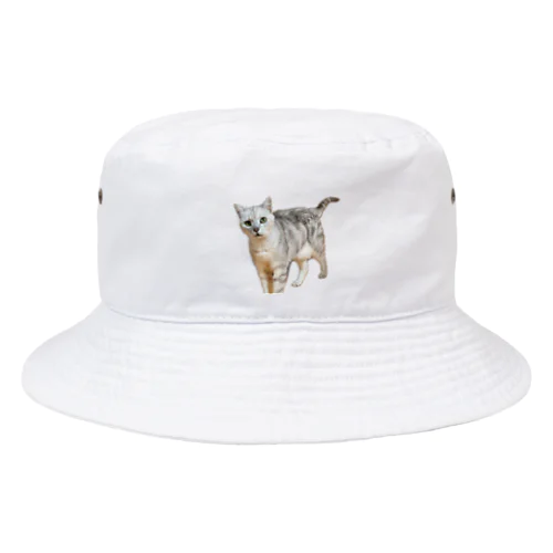 他人の猫 Bucket Hat