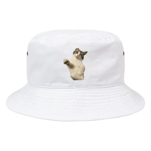 猫パンチ Bucket Hat