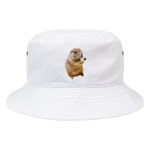 プレーリードッグのぷーち Bucket Hat