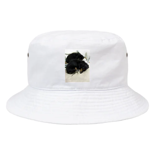 カニヘンダックス達 Bucket Hat