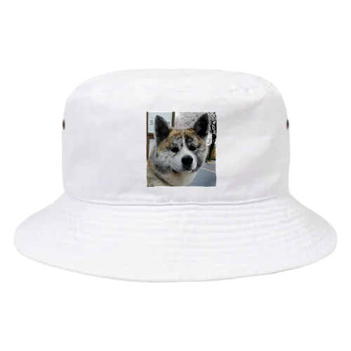 蓬ちゃん Bucket Hat