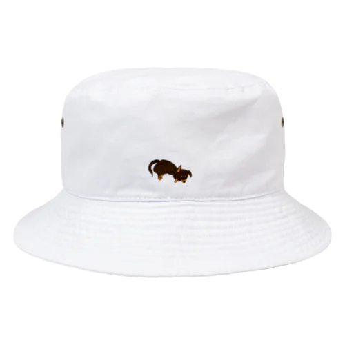 チワックス(寝)・チョコタン Bucket Hat