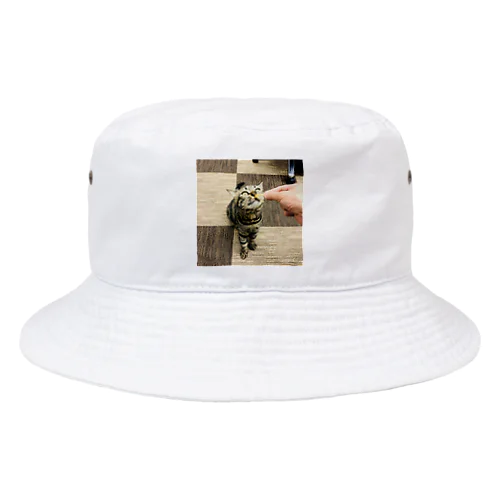 保護猫こーりんのヤムヤム Bucket Hat