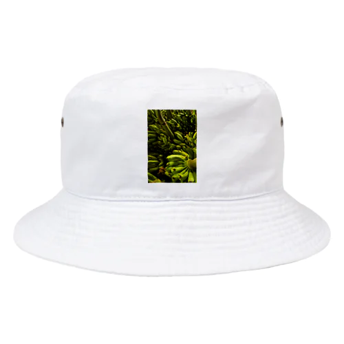 出荷前のバナナ Bucket Hat