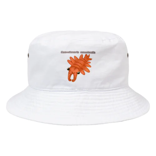 古代生物アノマロカリス Bucket Hat