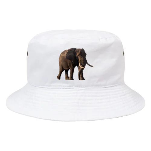 アフリカゾウ Bucket Hat