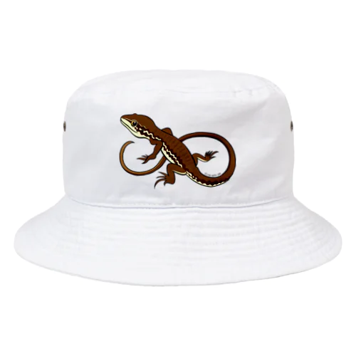 ニホンカナヘビ Bucket Hat