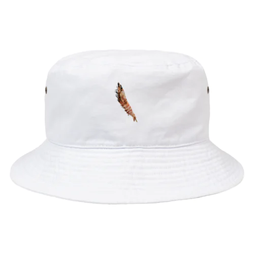 えび Bucket Hat