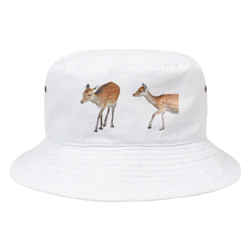 しか！シカ！鹿！ Bucket Hat