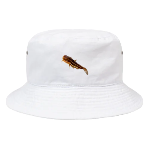 毒魚　ゴンズイ Bucket Hat