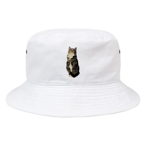 Tabby Cat Bucket Hat