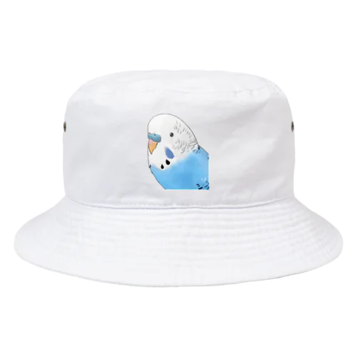 見つめるセキセイインコちゃん【まめるりはことり】 Bucket Hat