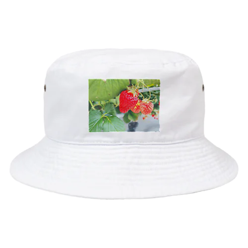 ストロベリーちゃん Bucket Hat