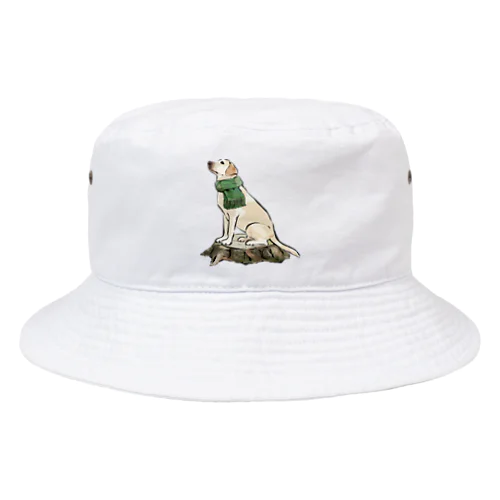 マフラー犬　ラブラドルレトリバー Bucket Hat