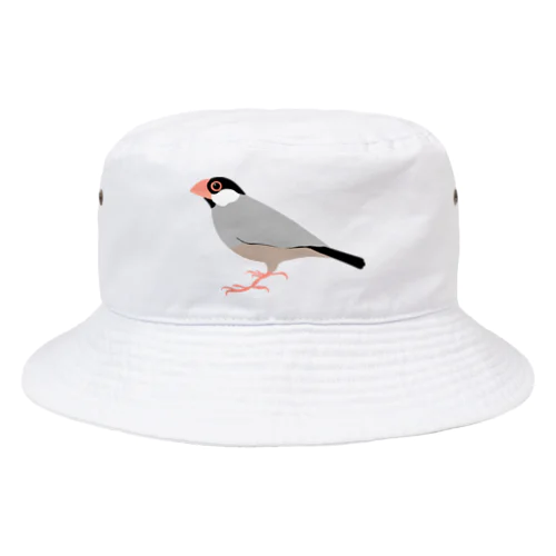 文鳥 Bucket Hat