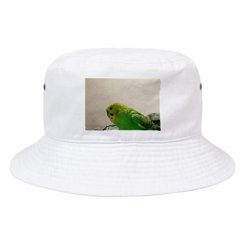 テスト商品 Bucket Hat