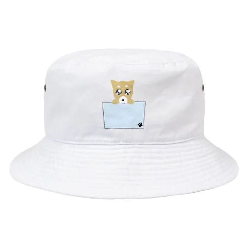 ポケットわんこ Bucket Hat