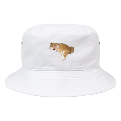 柴犬ぬいちゃん Bucket Hat