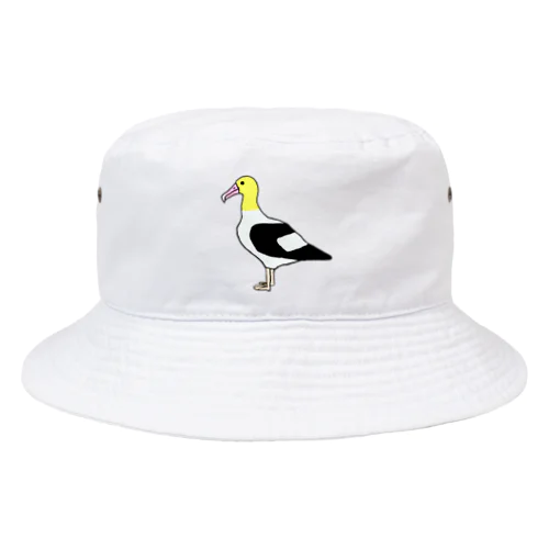 アホウドリ Bucket Hat