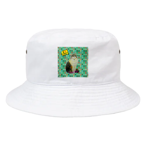 水玉Bob Cat Bucket Hat