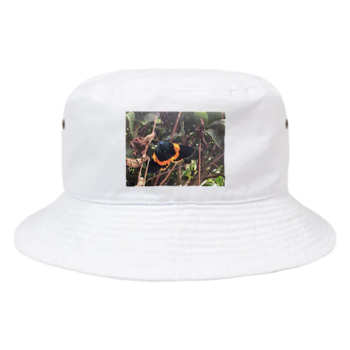 鹿児島の蛾 Bucket Hat