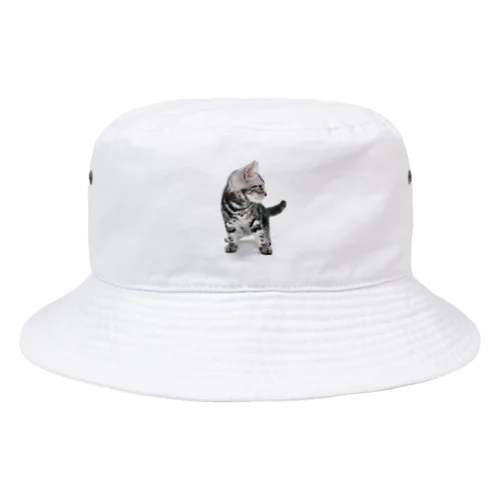 子ねこ Bucket Hat