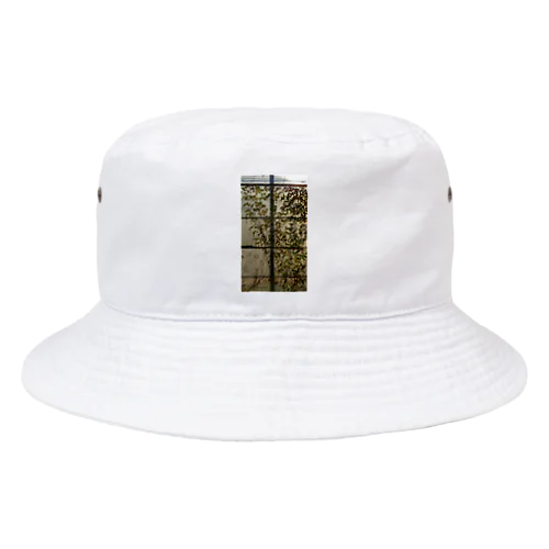 ひかりくさ Bucket Hat