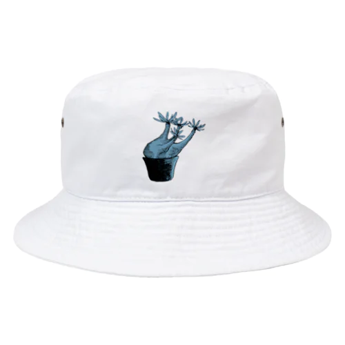 パキポディウム Bucket Hat