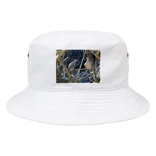 ハッピーなハト Bucket Hat