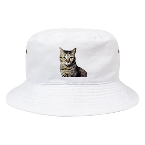 猫様スタンダード Bucket Hat