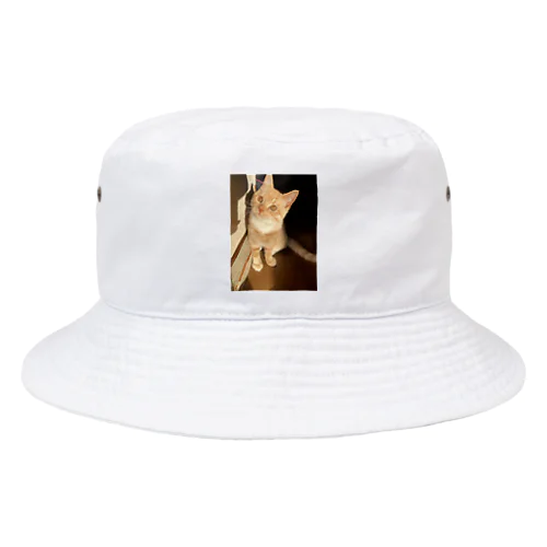 チビちゃん☆ Bucket Hat