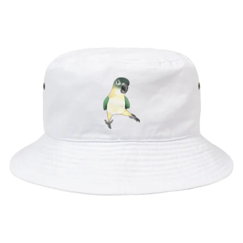 ご機嫌なズグロシロハラインコのカイ君【まめるりはことり】 Bucket Hat